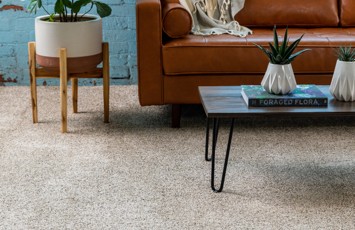Carpet Flooring | Hernandez Wholesale Flooring
